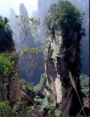 長(zhǎng)沙出發(fā)到張家界溶洞奇觀(guān)黃龍洞、國(guó)家森林公園、袁家界、峰林之王天子山三日游（早班）